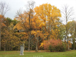 Arboretum Poortbulten